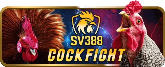 Bàn Sic Bo với xúc xắc và cược